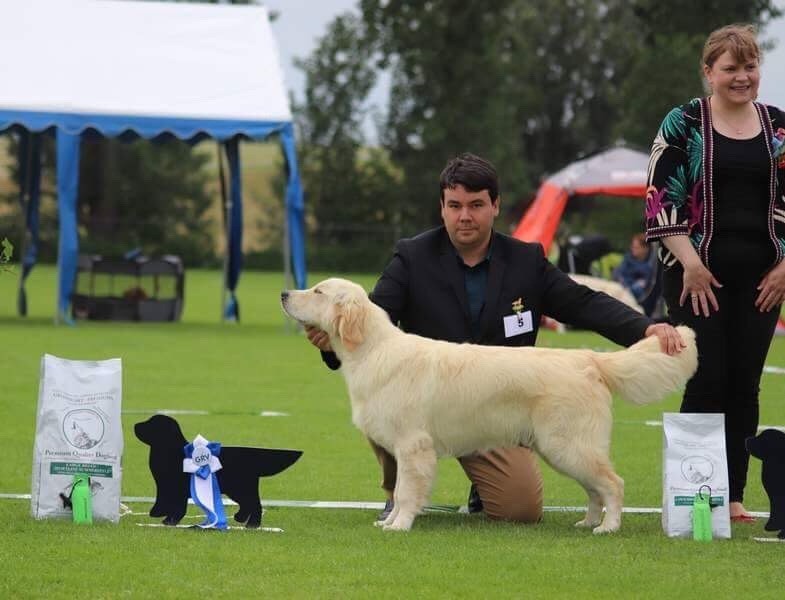 Du Ruisseau De La Groseille - Dutch Championship 