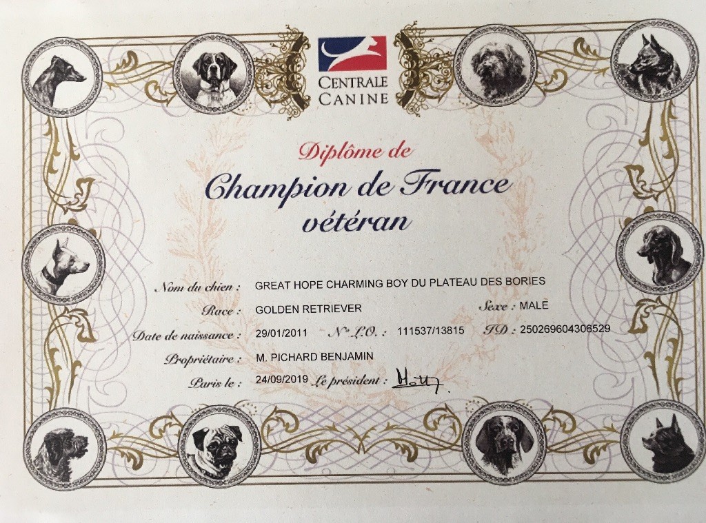 Du Ruisseau De La Groseille - Charming Champion de France !!!!