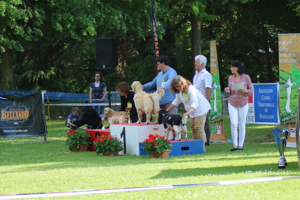 Du Ruisseau De La Groseille - 06/05 CACS St Ambreuil 