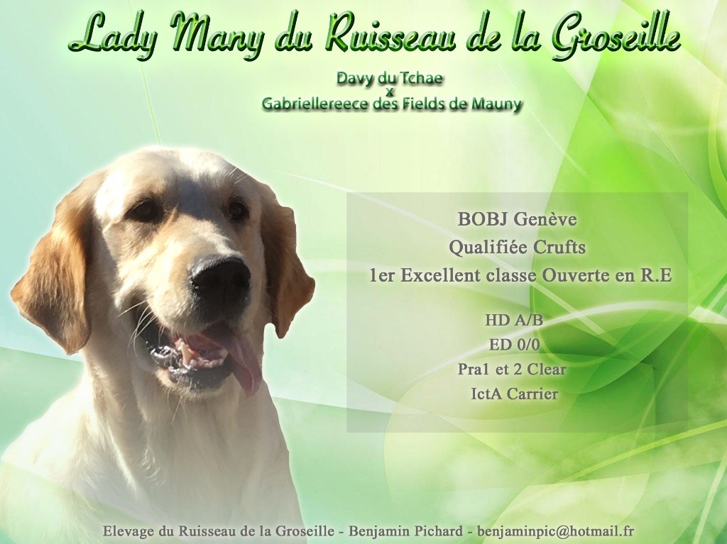 Lady many Du Ruisseau De La Groseille