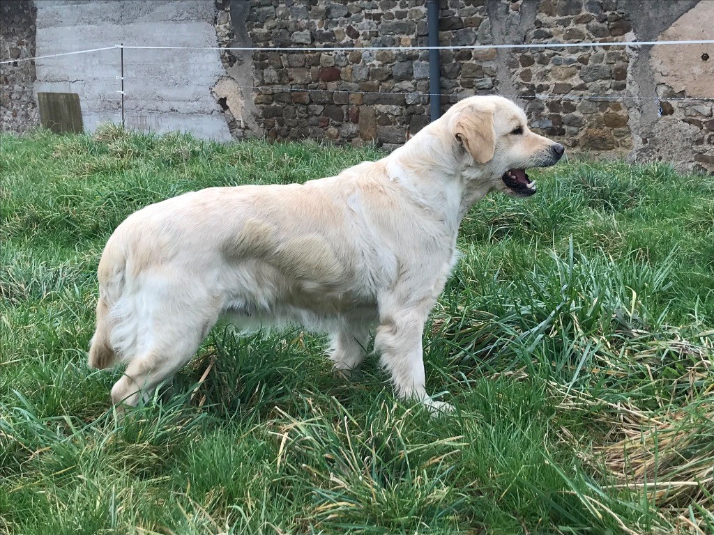 The charming moon Du Ruisseau De La Groseille